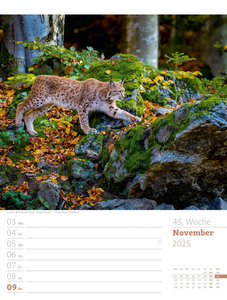 Unser Wald - Wochenplaner Kalender 2025