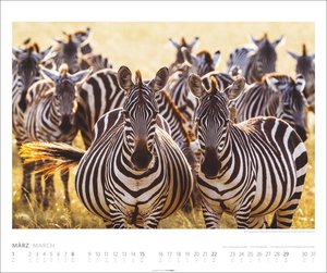 African Wildlife Kalender 2026