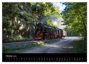 Unter Dampf in Sachsen Anhalt 2.0 (Wandkalender 2024 DIN A2 quer), CALVENDO Monatskalender