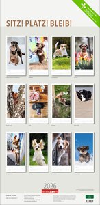 Sitz! Platz! Bleib! Kalender 2026