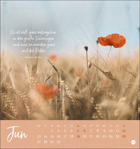 Ich wünsch dir ... stille Momente Postkartenkalender 2022