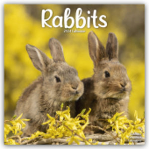 Rabbits - Kaninchen 2024 - 16-Monatskalender