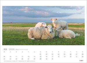 Sylt Panorama Postkartenkalender 2026