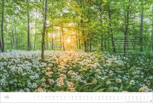 Der deutsche Wald - Ein literarischer Spaziergang Kalender 2026 - Ein literarischer Spaziergang