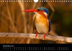 Botswanas Vogelwelt (Wandkalender 2021 DIN A4 quer)