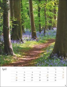 Wege zum Träumen Kalender 2022