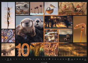 Colours of Nature Kalender 2026