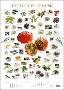 Food 2023 - Bildkalender 50x70 cm - mit kurzen Beschreibungen zu den Obst- und Gemüsesorten - Küchenkalender - Dumont - Posterkalender