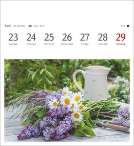 Blumenpracht Postkartenkalender 2025