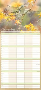 Bunte Vogelwelt Familienplaner 2026