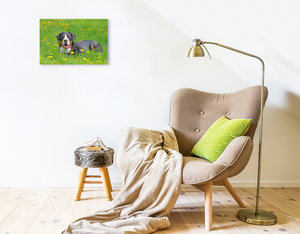 Premium Textil-Leinwand 45 cm x 30 cm quer Großer Schweizer Sennenhund