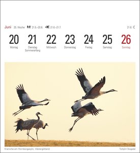 Schweden Kalender 2022