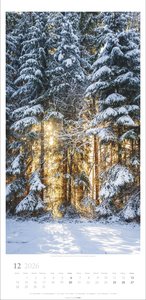 Im Wald Kalender 2026