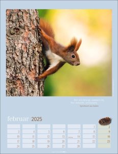 Eichhörnchen Kalender 2025