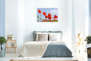 Premium Textil-Leinwand 90 cm x 60 cm quer Ein Motiv aus dem Kalender Poppies Träume