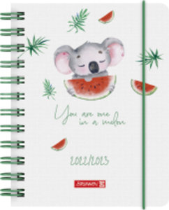 Schülerkalender 2022/2023 Koala, A6