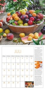 DuMonts Kräuter-Kalender 2025 - Broschürenkalender - mit Texten und Rezepten - Format 30 x 30 cm
