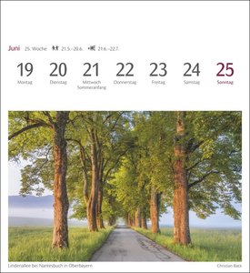 Bäume Postkartenkalender 2023
