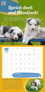 WAS IST WAS Tierwelt Broschurkalender 2026