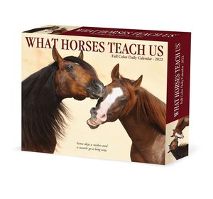 WHAT HORSES TEACH US 2022 BOX