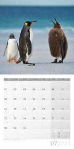 Pinguine Kalender 2024 - 30x30