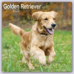 Golden Retriever 2023 - 16-Monatskalender