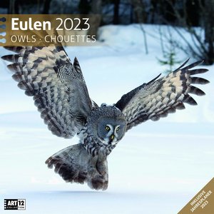Eulen Kalender 2023 - 30x30