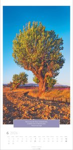 Wunderwelt der Bäume Kalender 2026