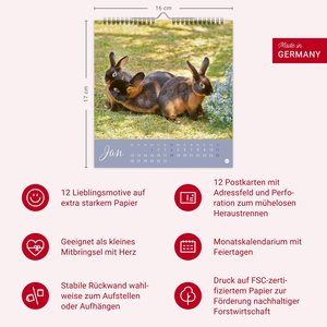 Süße Kaninchen Postkartenkalender 2026