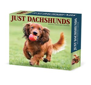 Dachshunds 2022 Box Calendar - Dog Breed Daily Desktop