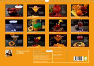 Faszination Gin Cocktails (Wandkalender 2023 DIN A3 quer)