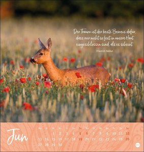 Ich wünsch dir ... Zeit zum Träumen Postkartenkalender 2022
