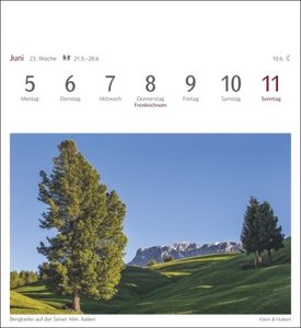 Bäume Postkartenkalender 2023. Fotokalender mit 53 Postkarten zum Sammeln und Verschicken. Dekorative Baum-Aufnahmen von bekannten Fotografen. Kleiner Tischkalender 2023.