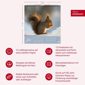 Eichhörnchen Postkartenkalender 2026