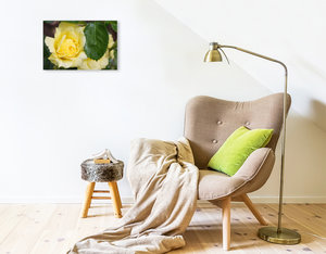 Premium Textil-Leinwand 45 cm x 30 cm quer Rosa \'Yellow Meilove\'