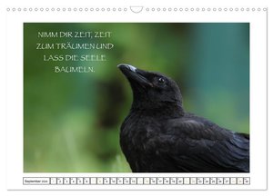 Spruch verliebt (Wandkalender 2024 DIN A3 quer), CALVENDO Monatskalender