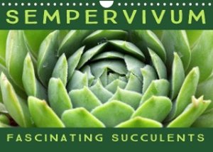 Sempervivum Fascinating Succulents (Wall Calendar 2023 DIN A4 Landscape)