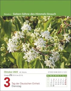 Mein Garten Tagesabreißkalender 2023. Tischkalender für jeden Tag. Tageskalender mit praktischen Gartengestaltungs-Tipps. Garten-Kalender 2023 zum Abreißen.
