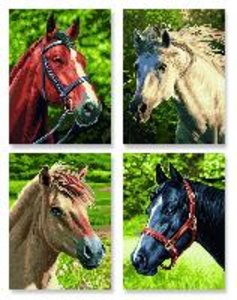Noris 609340625 - Pferde + Pony, MNZ, Malen nach Zahlen (Quattro)