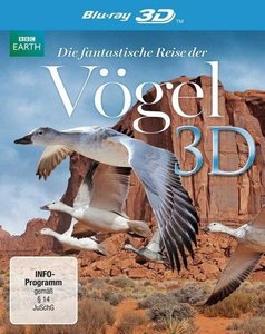Die Fantastische Reise Der Vögel-3D
