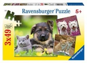 Ravensburger 09423 - Hunde und Katzen, Puzzle, 3x49 Teile