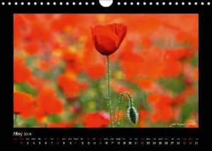 François LEPAGE, J: Poppies of my heart (Wall Calendar 2016
