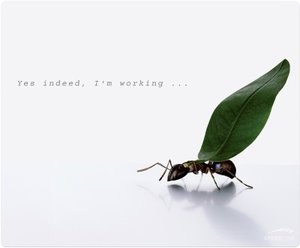 SILK Mousepad, Working Ants