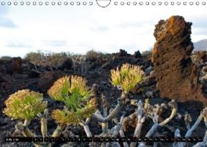 Canarian impressions Tenerife - El Hierro / UK-version (Wall Calendar 2015 DIN A4 Landscape)