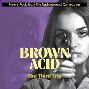 Various: Brown Acid: The Third Trip