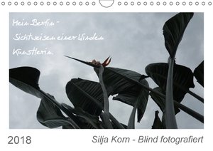 Silja Korn - Blind fotografiert