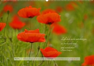 Motivierende Sprüche - gestärkt durch das Jahr (Premium, hochwertiger DIN A2 Wandkalender 2023, Kunstdruck in Hochglanz)