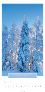 Wunderwelt der Bäume Kalender 2026