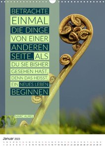 ABSCHIEDE NEUE WEGE GEHEN  Weisheiten und Zitate (Wandkalender 2023 DIN A3 hoch)