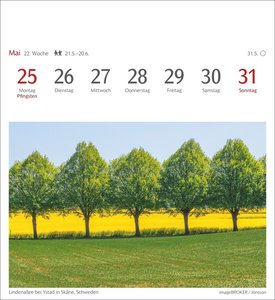 Bäume Postkartenkalender 2026